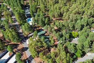 790 S Juniper Ln, Pinetop, AZ 85935 - Photo 80