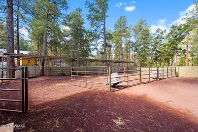 790 S Juniper Lane, Pinetop, AZ 85935 - Photo 52