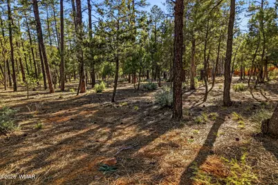 1400 E Pine Oaks Drive, Show Low, AZ 85901 - Photo 6