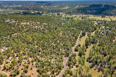 1794 Canyon Drive, Heber, AZ 85928 - Photo 6