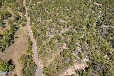 1794 Canyon Drive, Heber, AZ 85928 - Photo 12