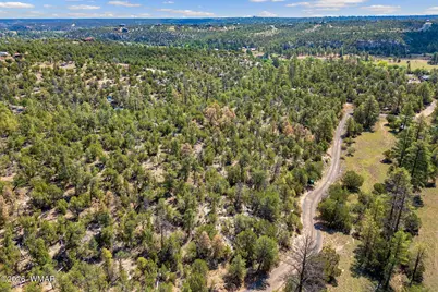 1794 Canyon Drive, Heber, AZ 85928 - Photo 8
