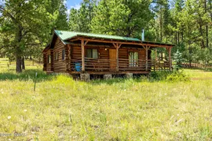 7 N1014, Greer, AZ 85927 - Photo 4