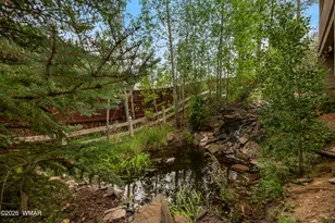 3101 W Simon Cir, Show Low, AZ 85901 - Photo 36