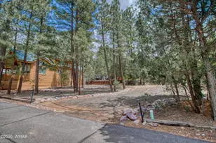 2191 E Hanging Tree Trail, Show Low, AZ 85901 - Photo 1