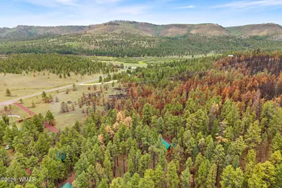 38918 State Route 373, Greer, AZ 85927 - Photo 30