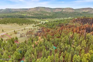 38918 State Route 373, Greer, AZ 85927 - Photo 30