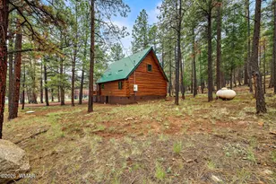 38918 State Route 373, Greer, AZ 85927 - Photo 28