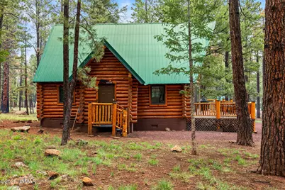 38918 State Route 373, Greer, AZ 85927 - Photo 4