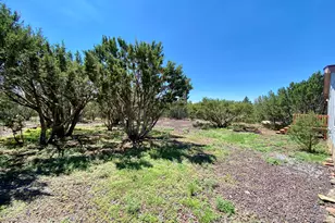 25 Acr 3175, Vernon, AZ 85940 - Photo 22