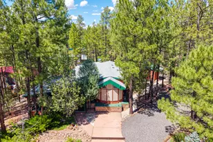 3721 S Horse Shoe Loop, Show Low, AZ 85901 - Photo 2
