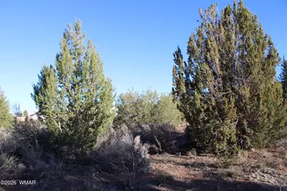 96 N Lyon Gate Drive, Snowflake, AZ 85937 - Photo 2