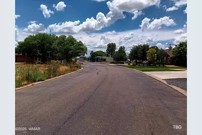 96 N Lyon Gate Drive, Snowflake, AZ 85937 - Photo 14