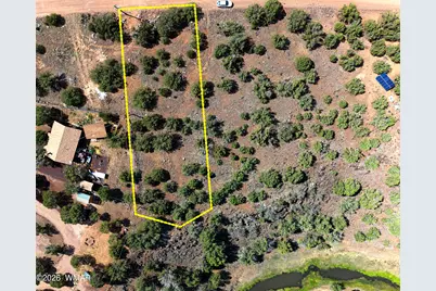 8577 Cannon Boulevard, Show Low, AZ 85901 - Photo 2