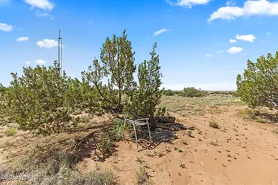 67 N6402, Saint Johns, AZ 85936 - Photo 36