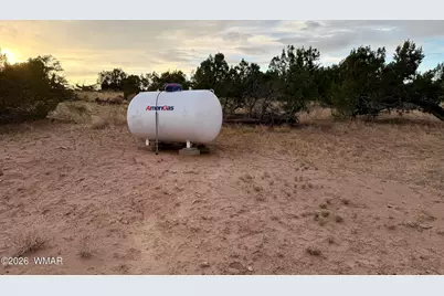 10 Cr N 7341, Chambers, AZ 86502 - Photo 46