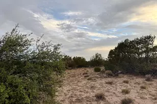 10 Cr N 7341, Chambers, AZ 86502 - Photo 40