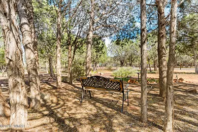 918 Wild Horse Road, Show Low, AZ 85901 - Photo 26