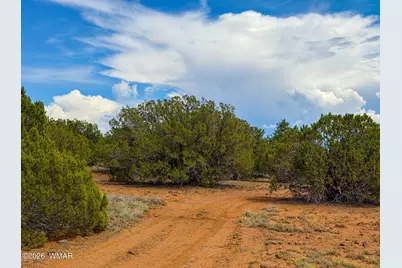 0 Gample Ln. 13 Acres (Lot A), Show Low, AZ 85901 - Photo 14