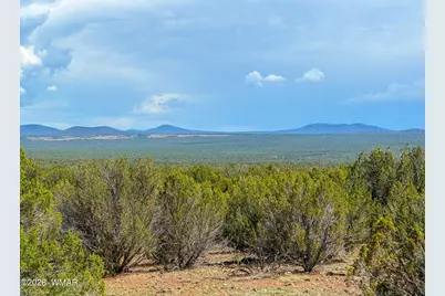 0 Gample Ln. 13 Acres (Lot A), Show Low, AZ 85901 - Photo 1