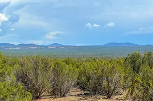 0 Gample Ln 13 Acres (Lot A), Show Low, AZ 85901 - Photo 1
