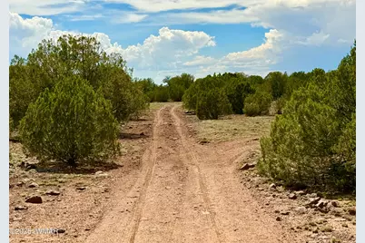 0 Gample Ln. 13 Acres (Lot A), Show Low, AZ 85901 - Photo 22