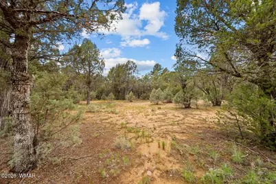 1300 N Fairway Lane, Show Low, AZ 85901 - Photo 14