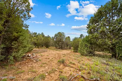 1300 N Fairway Lane, Show Low, AZ 85901 - Photo 16