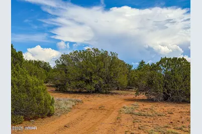 0 Gample Ln. 13 Acres (Lot C), Show Low, AZ 85901 - Photo 14