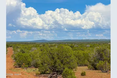 0 Gample Ln. 13 Acres (Lot C), Show Low, AZ 85901 - Photo 2