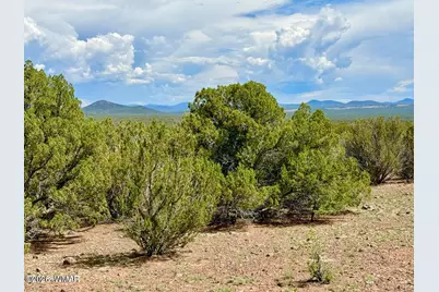 0 Gample Ln. 13 Acres (Lot C), Show Low, AZ 85901 - Photo 20