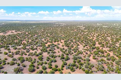 0 Gample Ln. 13 Acres (Lot C), Show Low, AZ 85901 - Photo 10