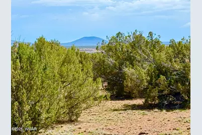 0 Gample Ln. 13 Acres (Lot C), Show Low, AZ 85901 - Photo 6