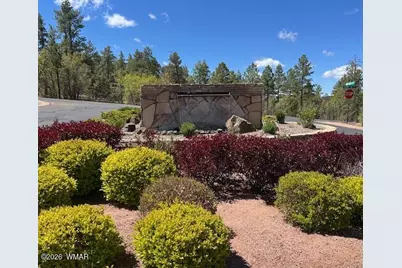 1651 W Snow Creek Loop, Show Low, AZ 85901 - Photo 30