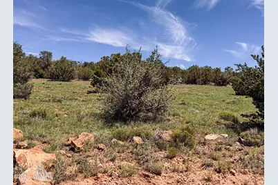 79 Co Road, Concho, AZ 85924 - Photo 4