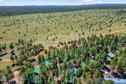 2715 High Pine Loop, Overgaard, AZ 85933 - Photo 34