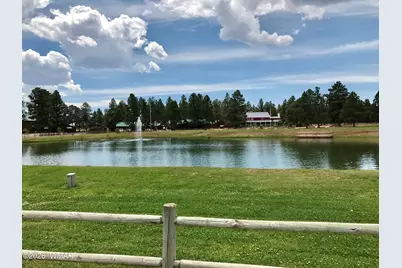 2715 High Pine Loop, Overgaard, AZ 85933 - Photo 46