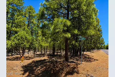711 Pine Creek Drive, Lakeside, AZ 85929 - Photo 2