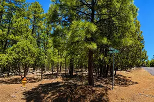 711 Pine Creek Dr, Lakeside, AZ 85929 - Photo 2