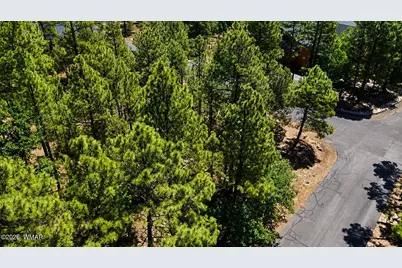 711 Pine Creek Drive, Lakeside, AZ 85929 - Photo 14
