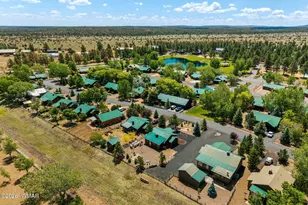 2336 N Buffalo Loop, Overgaard, AZ 85933 - Photo 30