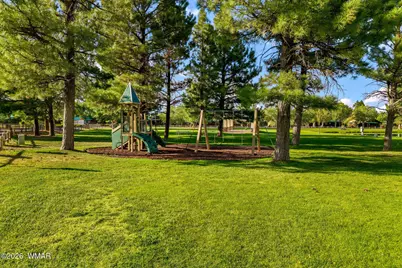 2336 N Buffalo Loop, Overgaard, AZ 85933 - Photo 42