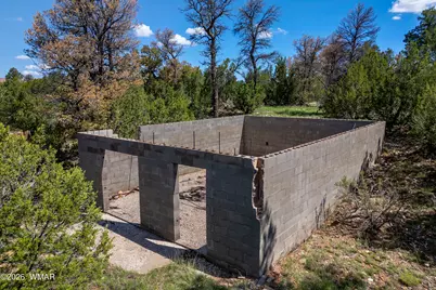 1887 Little Doe Trail, Heber, AZ 85928 - Photo 2