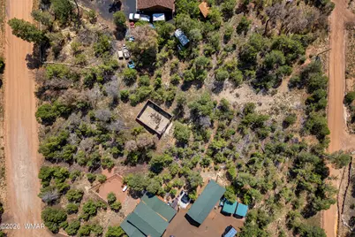 1887 Little Doe Trail, Heber, AZ 85928 - Photo 4