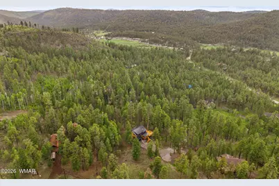 26 N County Road 1062, Greer, AZ 85927 - Photo 42