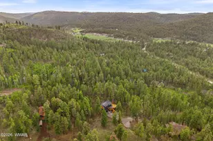 26 N County Road 1062, Greer, AZ 85927 - Photo 42