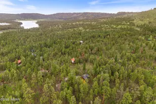 26 N County Road 1062, Greer, AZ 85927 - Photo 40