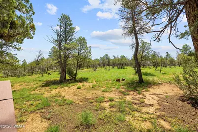 2242 Grizzly Drive, Overgaard, AZ 85933 - Photo 32