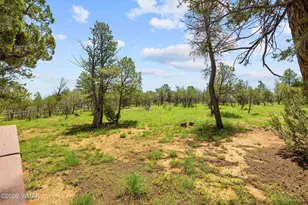 2242 Grizzly Dr, Overgaard, AZ 85933 - Photo 32