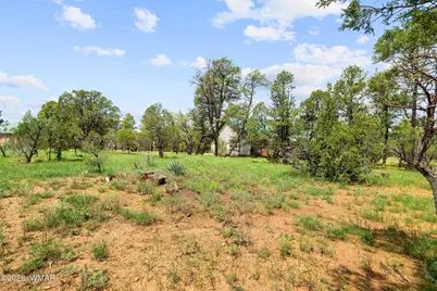 2242 Grizzly Drive, Overgaard, AZ 85933 - Photo 30